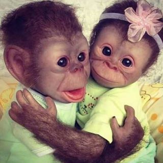 Profile Picture of Melodie Holderbaum (@melodie.holderbaum.9) on Facebook