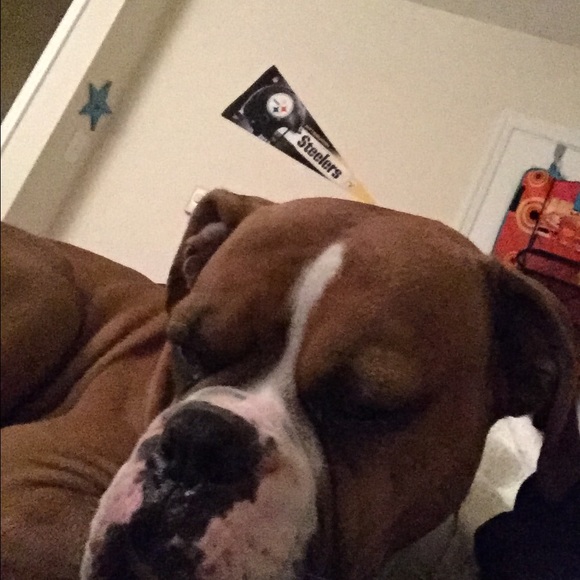 Profile Picture of Calem Scammahorn (@calem1906) on Poshmark