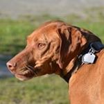 Profile Picture of Christopher Elgin (@christopherelgin) on Instagram