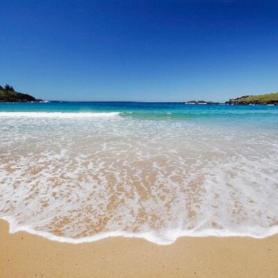 Profile Picture of Morag Smith (@oystergirl27) on Twitter