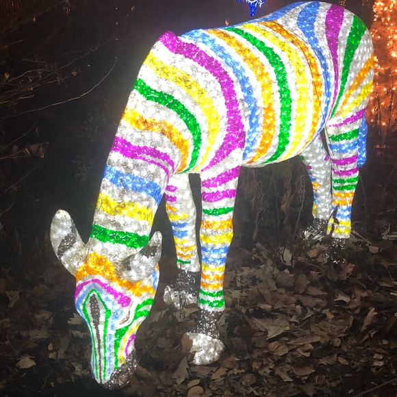 Profile Picture of Christian Ehrmantraut (@ehrmantraut1) on Poshmark