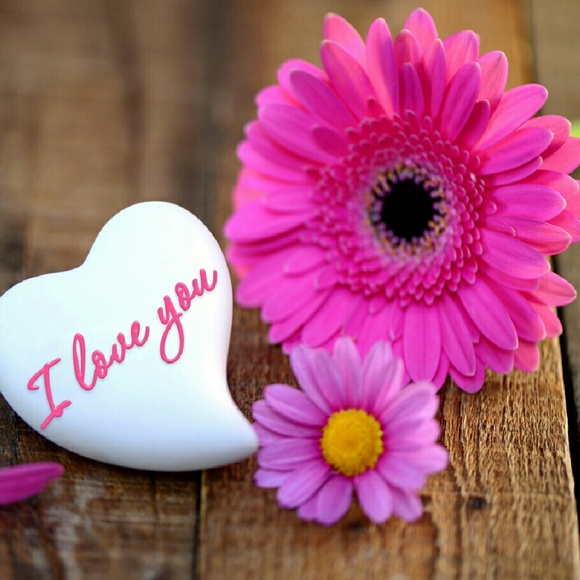 Profile Picture of Nitza Fargas (@nitzy56) on Poshmark