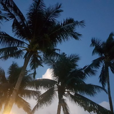 Profile Picture of Mark Burnham (@MarkBur96969972) on Twitter