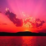 Profile Picture of Jay Steele (@jay.steele.92) on Instagram