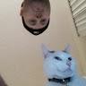 Profile Picture of Mike Head (@@mikehead94) on Tiktok