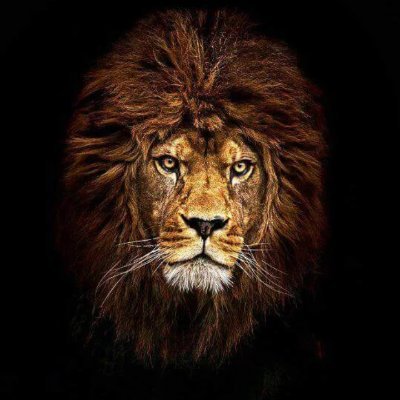 Profile Picture of hisham ammar (@hishamammar2) on Twitter