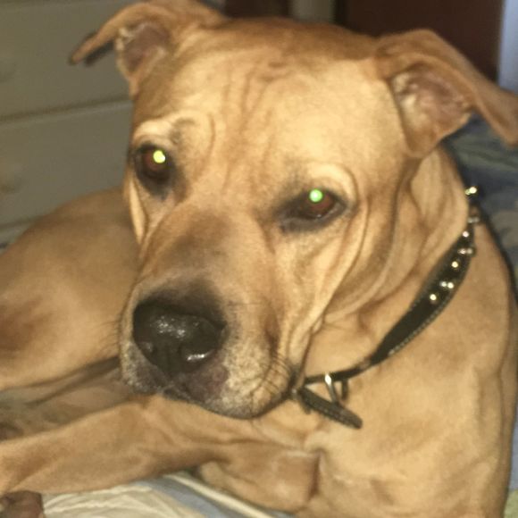 Profile Picture of Ken Sydow (@kensydow) on Poshmark