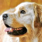 David Forgione - Facebook Profile Picture of David Forgione (@david.forgione.9) on Facebook