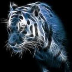 Profile Picture of Robert Alonso (@RayeMea) on Twitter