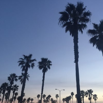 Profile Picture of Rebekah Sanders (@beksanders) on Twitter