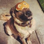 Philip Tan - Instagram Profile Picture of Philip Tan (@philiptanart) on Instagram