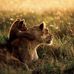 Profile Picture of Cindy DE Groote (@cindy.degroote.3110) on Facebook