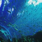 Profile Picture of Aaron Philips (@philips.aaron) on Instagram