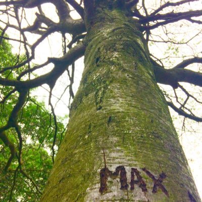 Profile Picture of Liu Chao (@max_liuchao) on Twitter