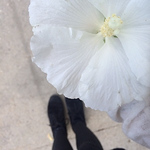 Profile Picture of Savanna Keller (@savanna.keller) on Flickr