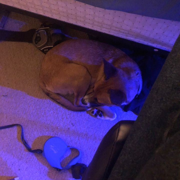 Profile Picture of Michael Propst (@michaelpropst1) on Tiktok