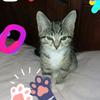 Profile Picture of Sharon Wright (@@sharonwright1963) on Tiktok