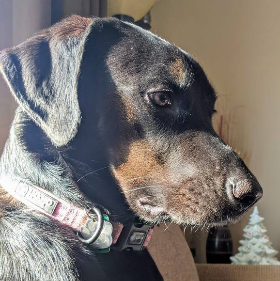 Pam Assise guetschow - Poshmark Profile Picture of Pam Assise guetschow (@bgoddess66) on Poshmark