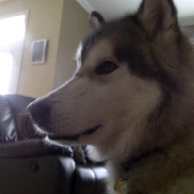 Profile Picture of Ed Ewing (@ed_ewing83) on Twitter