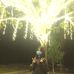 Profile Picture of Nguyen Khanh Hang (@Nguyen-Khanh-Hang) on Facebook