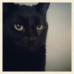 Profile Picture of Daniel McEwan (@daniel.mcewan) on Instagram