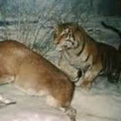 Profile Picture of Guy Larsen (@guylarsen395) on Youtube