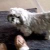 Profile Picture of Terry Wiles (@@terrywiles) on Tiktok