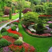 Adrian Loyal - Facebook Profile Picture of Adrian Loyal (@adrian.loyal) on Facebook