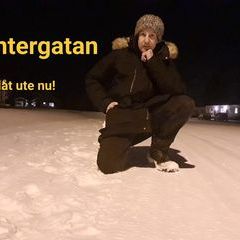 Profile Picture of Johan Franzen (@johanfranzen05) on Tiktok