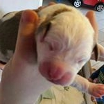 Profile Picture of Martin Meier (@martinmeier_) on Instagram