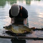 Profile Picture of Tom case (@tomcase6) on Instagram