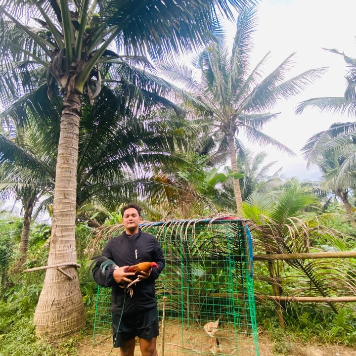 Profile Picture of Joshua Chua (@joshuachua26) on Tiktok