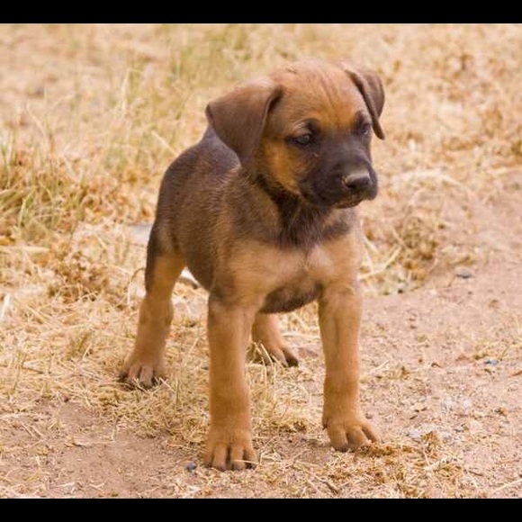 Michelle Duffett - Poshmark Profile Picture of Michelle Duffett (@chelled87) on Poshmark