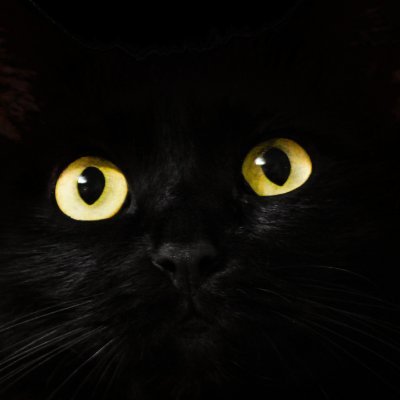 Profile Picture of 🚨🚧M*ther Fu*ker 🚨 (@ContentKyrios) on Twitter