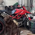 Profile Picture of David Rochat (@david.rochat.37) on Facebook