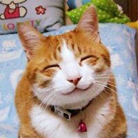 Profile Picture of Kim Carver (@kim-carver-24) on Quora