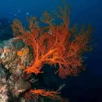 Profile Picture of Mak Thomas (@Mak-Thomas) on Facebook