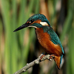 Profile Picture of Charlie Wright (@mrattitudechaz1) on Flickr