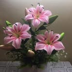 Profile Picture of Cathy Rands (@cathy.rands.2025) on Facebook