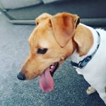 Profile Picture of corey young (@coreyyoung82) on Instagram