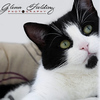 Profile Picture of Glenn Fielding (@I SightPhotography) on Flickr