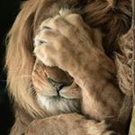 Profile Picture of Dale Schell (@daleschell) on Instagram
