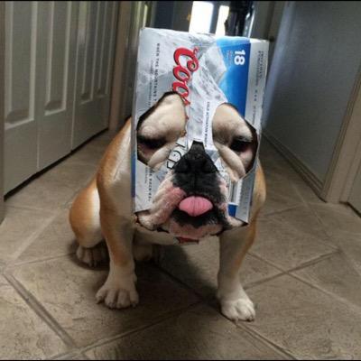 Profile Picture of Matthew Paquette (@subie0487) on Twitter