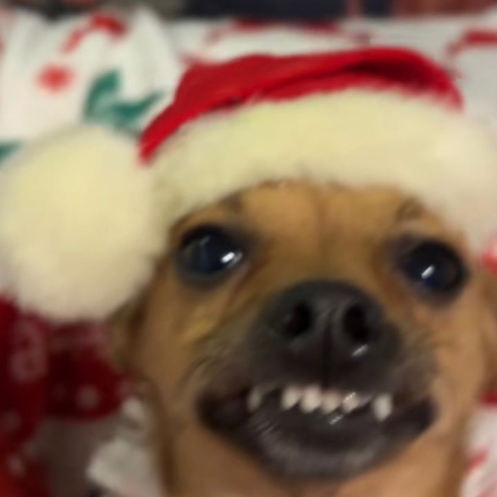 Profile Picture of Kiersten (@kiersten_freeman) on Tiktok