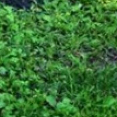 Profile Picture of Nathan Mathews (@nathanmathews7) on Twitter