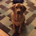 Profile Picture of Jeremy Pickering (@jeremyp4179) on Pinterest