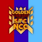 Profile Picture of ST THOMAS COLLEGE PALAI NCC ARMY WING (@golden_stc_ncc) on Instagram