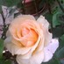 Profile Picture of Mary Metcalf (@MaryMetcalf1) on Twitter