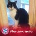 Profile Picture of Jonathan Wingate (@jonathan.wingate.39) on Facebook