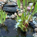 Profile Picture of Michael Looper (@Michael-Looper) on Facebook